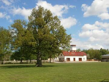 Фотографии Хостелы Hostel Pritsukas г. Orissaare (Эстония) №3 Фото Хостелы Hostel Pritsukas г. Orissaare 3