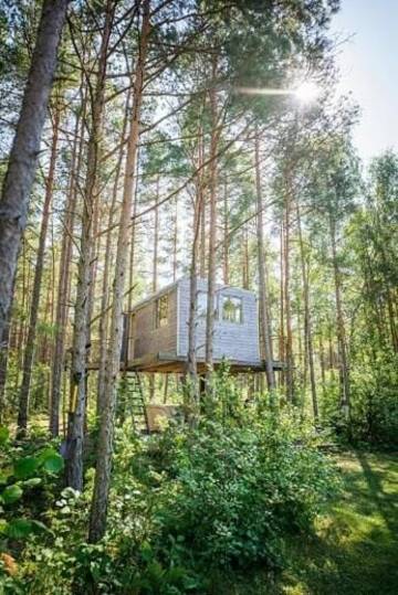 Фотографии Лоджи Unique treehouse for two г. Orissaare (Эстония) №4 Фото Лоджи Unique treehouse for two г. Orissaare 4