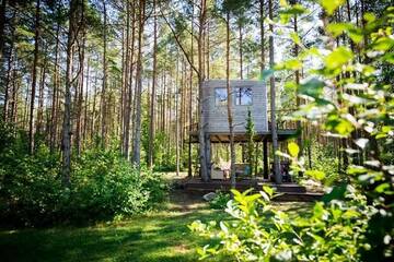 Фотографии Лоджи Unique treehouse for two г. Orissaare (Эстония) №5 Фото Лоджи Unique treehouse for two г. Orissaare 5