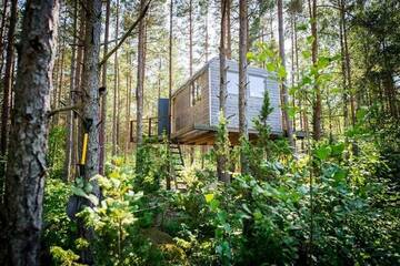 Фотографии Лоджи Unique treehouse for two г. Orissaare (Эстония) №2 Фото Лоджи Unique treehouse for two г. Orissaare 2
